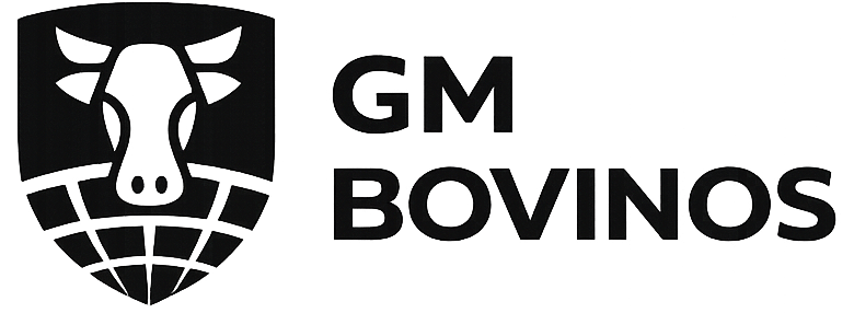GM Bovinos